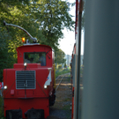 DSC_1954.JPG