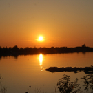 DSC_2030.JPG