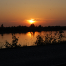 DSC_2039.JPG