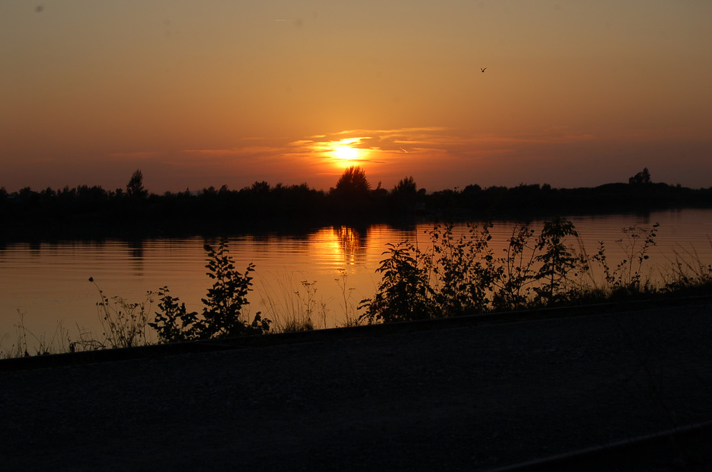 DSC_2039.JPG