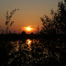 DSC_2040.JPG