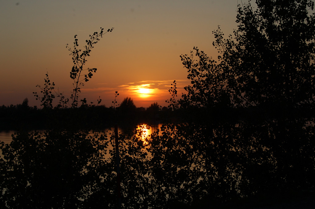 DSC_2040.JPG