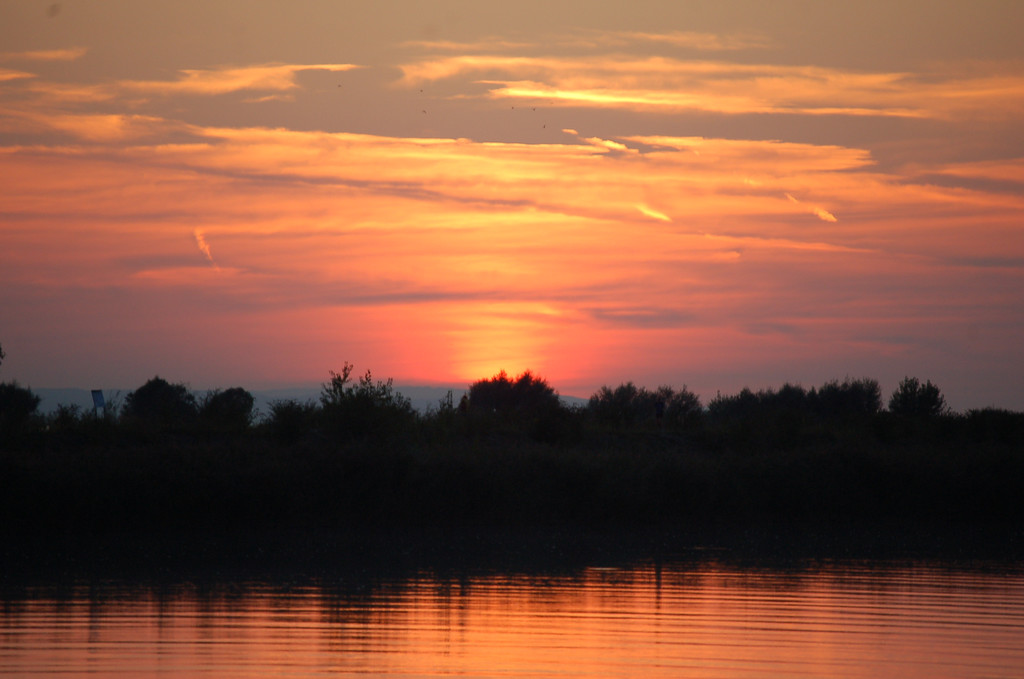 DSC_2092.JPG