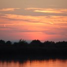 DSC_2099.JPG