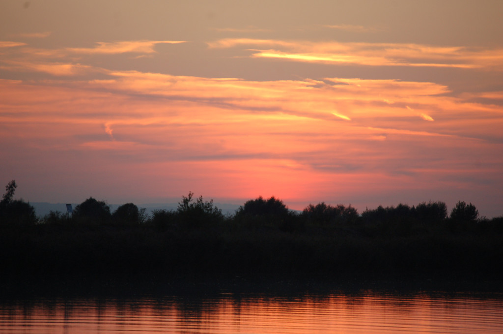 DSC_2099.JPG