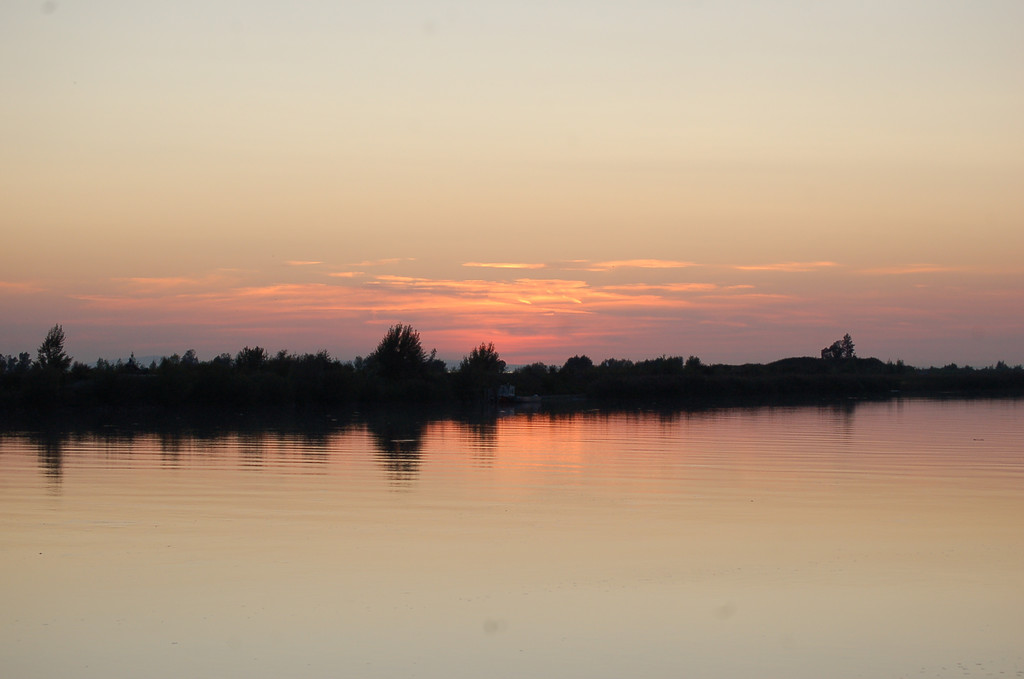 DSC_2111.JPG