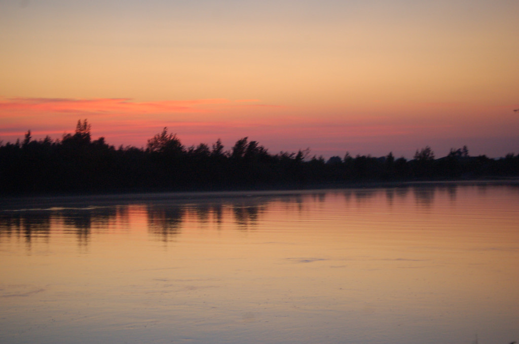 DSC_2141.JPG