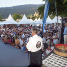 Stadtfest_Bregenz2011_02_jpg-1314360665