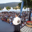 Stadtfest_Bregenz2011_02.jpg