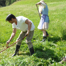 ALM_DSC_8285.JPG