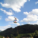 IMG_8607.jpg