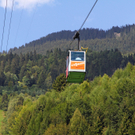 IMG_8532.jpg