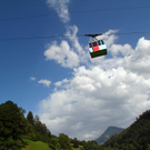 IMG_8525.jpg