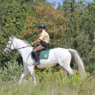 normal_26082011wtcrseinsatzaktivnews2.jpg