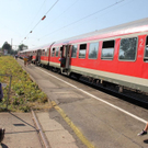 normal_26082011wtcrseinsatzaktivnews62.jpg