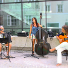 normal_26082011fmt_steingassenfest_mw_15.jpg
