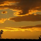normal_26082011fmt_sonnenunterg_mw_03.jpg