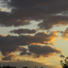 normal_26082011fmt_sonnenunterg_mw_05.jpg
