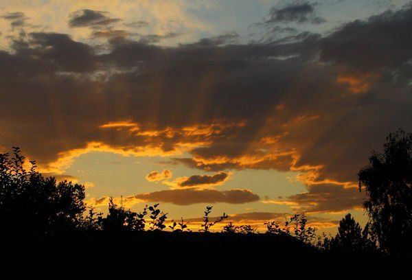 normal_26082011fmt_sonnenunterg_mw_07.jpg