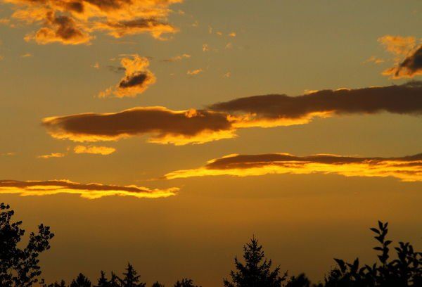 normal_26082011fmt_sonnenunterg_mw_08.jpg