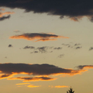 normal_26082011fmt_sonnenunterg_mw_10.jpg