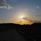 normal_26082011chiemseereggaeaktivnewshs037.jpg