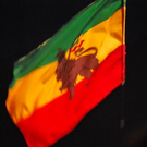 normal_26082011chiemseereggaeaktivnewshs092.jpg