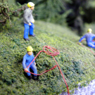 105_0332_jpg-1314437266