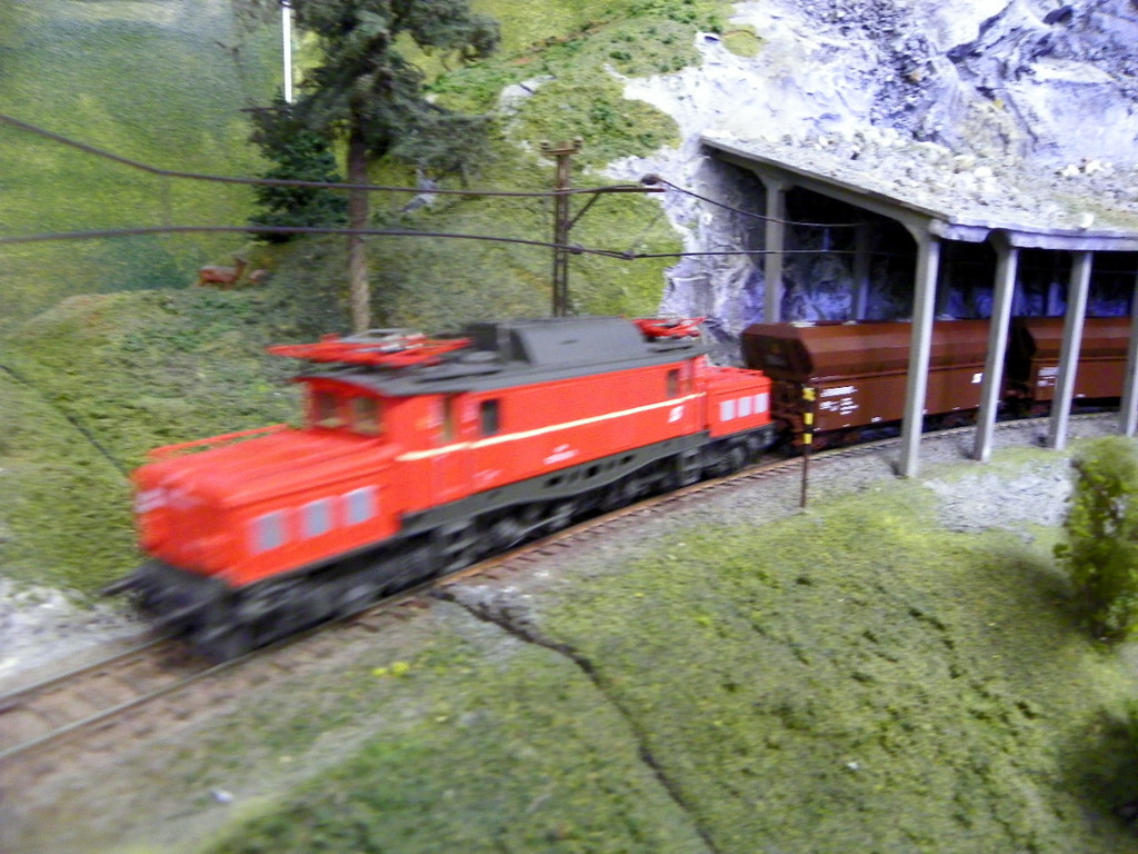 105_0336_jpg-1314437271