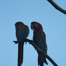 normal_26082011zooffaktivnews_028.jpg