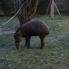normal_26082011zooffaktivnews_030.jpg