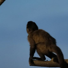 normal_26082011zooffaktivnews_050.jpg