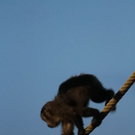 normal_26082011zooffaktivnews_053.jpg