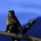 normal_26082011zooffaktivnews_057.jpg