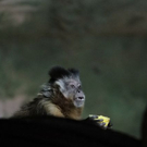 normal_26082011zooffaktivnews_079.jpg