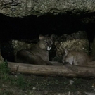 normal_26082011zooffaktivnews_110.jpg