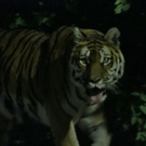 normal_26082011zooffaktivnews_112.jpg
