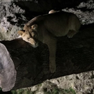 normal_26082011zooffaktivnews_178.jpg