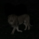 normal_26082011zooffaktivnews_188.jpg