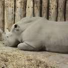 normal_26082011zooffaktivnews_253.jpg