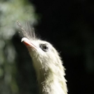 normal_26082011zooffaktivnews_261.jpg