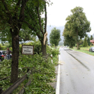 Bilder vom Unfallort