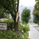 normal_27082011vust2103ffaktivnews_03.jpg