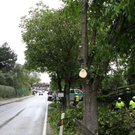 normal_27082011vust2103ffaktivnews_06.jpg
