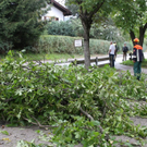 normal_27082011vust2103ffaktivnews_08.jpg