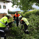 normal_27082011vust2103ffaktivnews_11.jpg