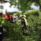 normal_27082011vust2103ffaktivnews_12.jpg