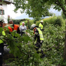 normal_27082011vust2103ffaktivnews_13.jpg