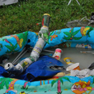 normal_27082011chiemseereggaeaktivnewshs031.jpg