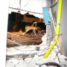 20110827vufreilassingwhaktivnews_12.jpg